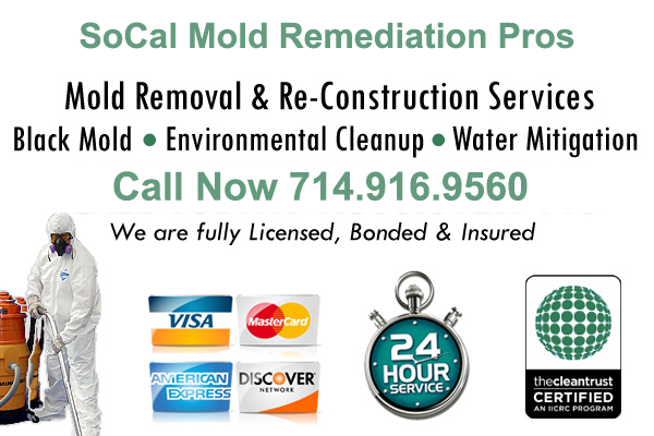 Southern California Mold Remediation